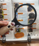 4X Hand-Held Magnifier (4 LED)