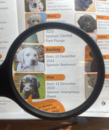 4X Hand-Held Magnifier (4 LED)