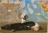 Guide Dogs WA 2026 Calendar