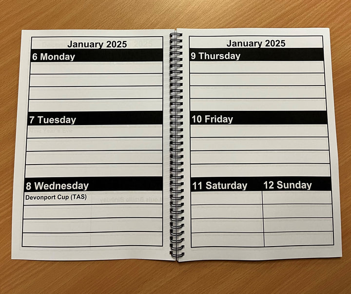 2025 Large Print Diary THIS IS FOR 2025