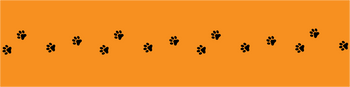 Guide Dogs WA Merchandise