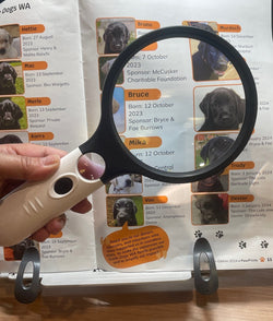 4X Hand-Held Magnifier (4 LED)