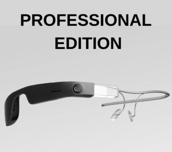 Envision Glasses (professional edition)
