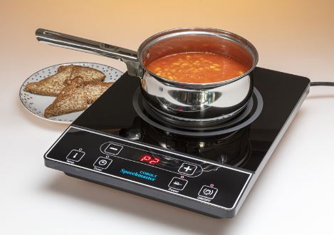 Talking Single Induction Hob Cook top