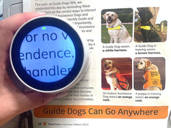 Looky round 2.1 magnifier