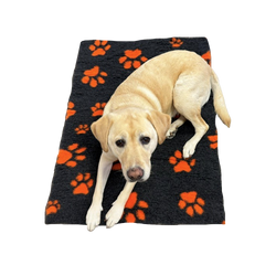 70X100cm - Charcoal with Orange Paws Pet Mat/Bed