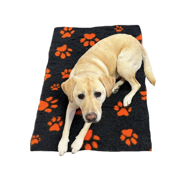 70X100cm - Charcoal with Orange Paws Pet Mat/Bed