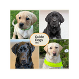 Guide Dogs WA/TAS Lens cleaning cloth