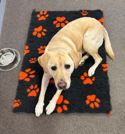 70X100cm - Charcoal with Orange Paws Pet Mat/Bed