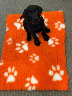 50X70cm - Orange with White Paws Pet Mat/Bed