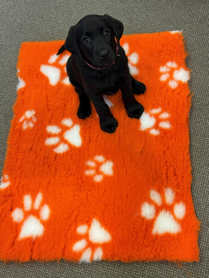 50X70cm - Orange with White Paws Pet Mat/Bed