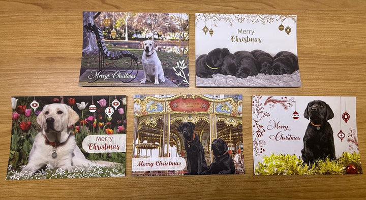 Guide Dogs - Christmas Cards