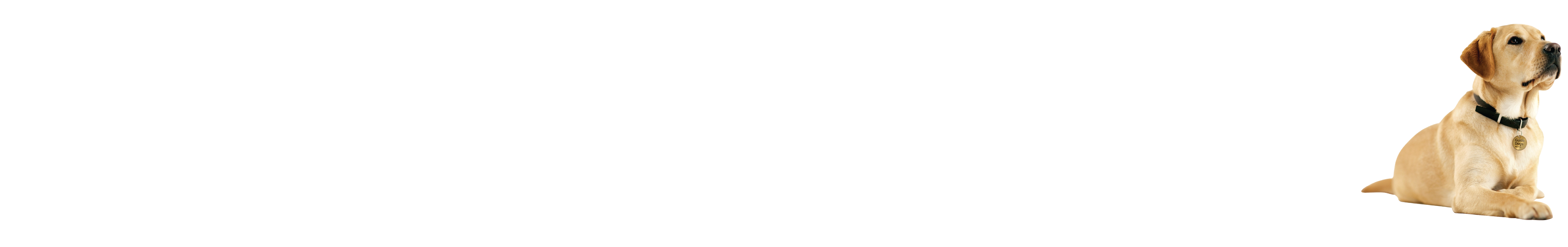 VisAbility Ltd - Living Aids