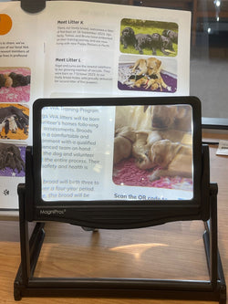 3X LED Page Magnifier with Stand
