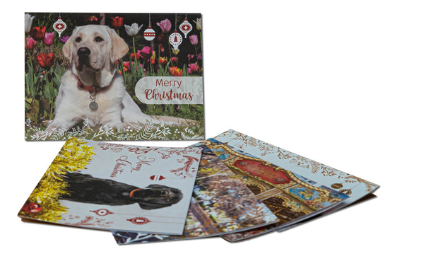 Guide Dogs - Christmas Cards