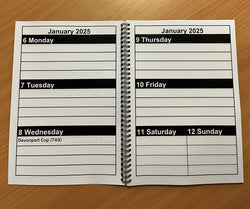 2025 Large Print Diary THIS IS FOR 2025