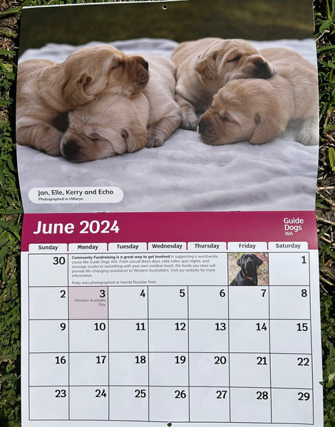 Guide Dogs WA 2024 Calendar